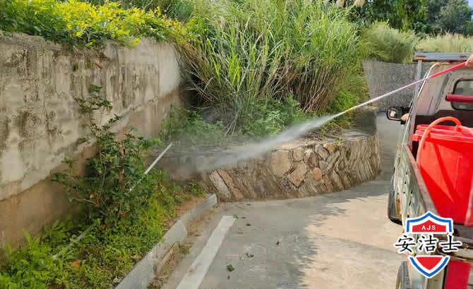 杨浦区道路堤坝白蚁防治