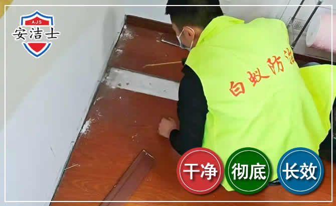 杨浦区除四害现场