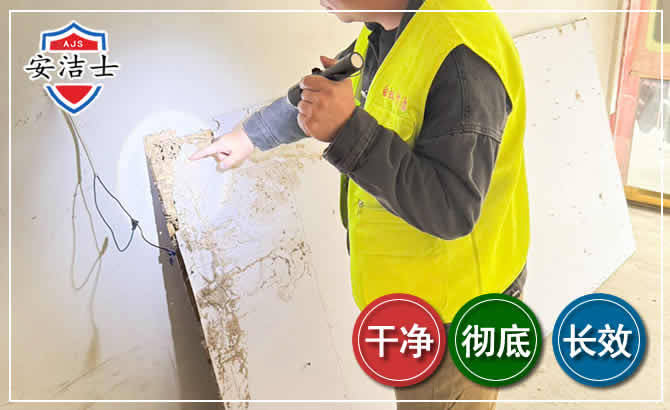 杨浦区除白蚁现场